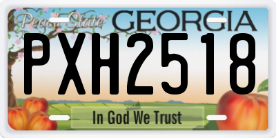 GA license plate PXH2518