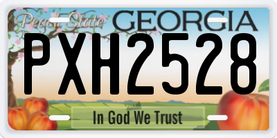 GA license plate PXH2528