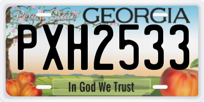 GA license plate PXH2533