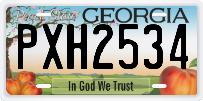 GA license plate PXH2534