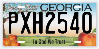 GA license plate PXH2540