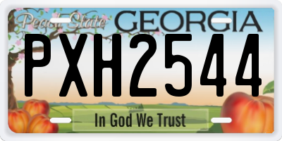 GA license plate PXH2544