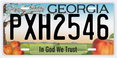 GA license plate PXH2546
