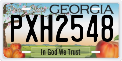 GA license plate PXH2548