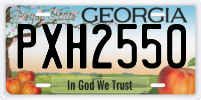 GA license plate PXH2550