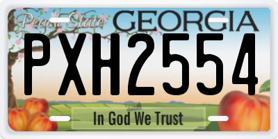 GA license plate PXH2554