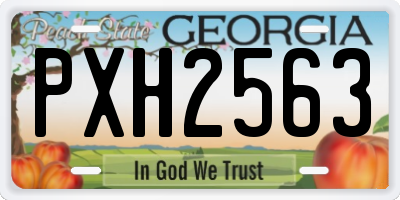 GA license plate PXH2563