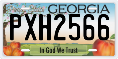 GA license plate PXH2566