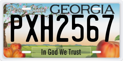 GA license plate PXH2567