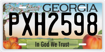 GA license plate PXH2598