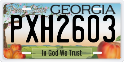 GA license plate PXH2603
