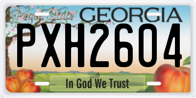 GA license plate PXH2604