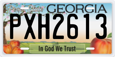 GA license plate PXH2613