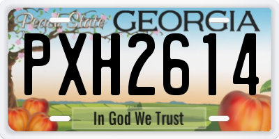 GA license plate PXH2614