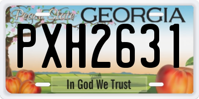 GA license plate PXH2631