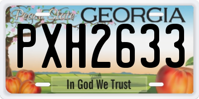 GA license plate PXH2633