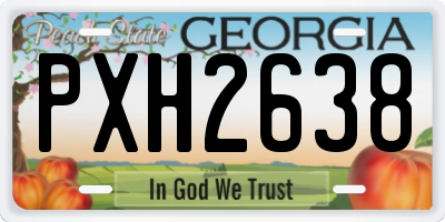 GA license plate PXH2638