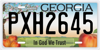 GA license plate PXH2645