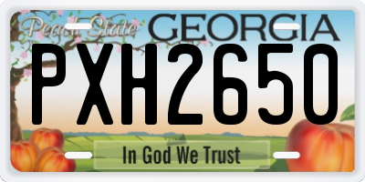 GA license plate PXH2650