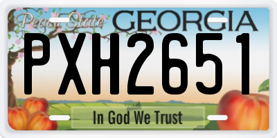 GA license plate PXH2651
