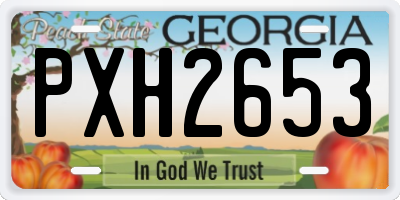 GA license plate PXH2653