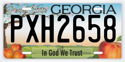 GA license plate PXH2658