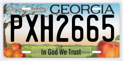 GA license plate PXH2665