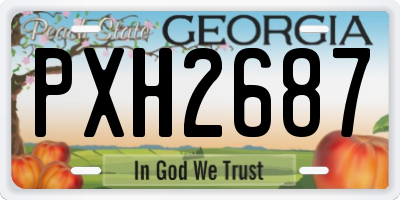 GA license plate PXH2687