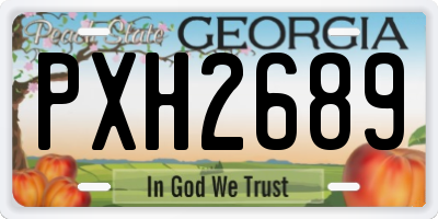 GA license plate PXH2689