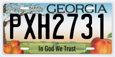 GA license plate PXH2731
