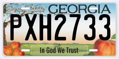 GA license plate PXH2733