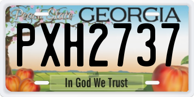 GA license plate PXH2737