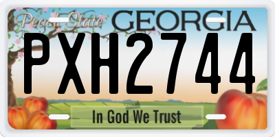 GA license plate PXH2744