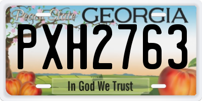 GA license plate PXH2763