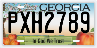 GA license plate PXH2789