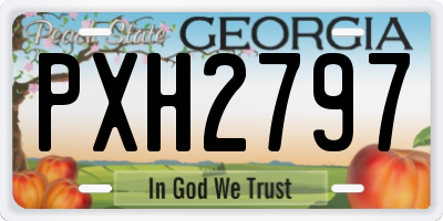 GA license plate PXH2797