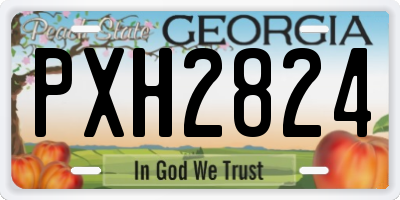 GA license plate PXH2824