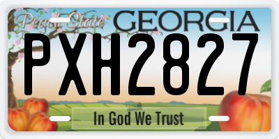 GA license plate PXH2827