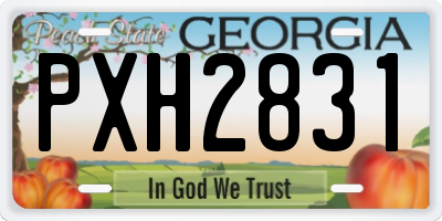 GA license plate PXH2831