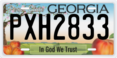 GA license plate PXH2833