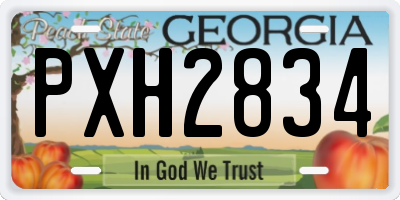 GA license plate PXH2834