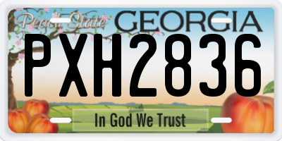 GA license plate PXH2836