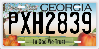 GA license plate PXH2839