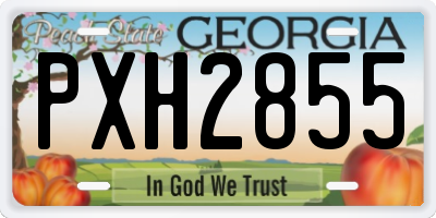 GA license plate PXH2855