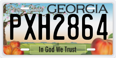 GA license plate PXH2864