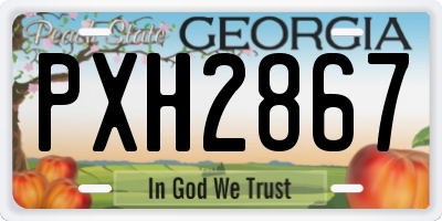 GA license plate PXH2867