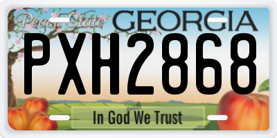 GA license plate PXH2868