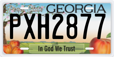 GA license plate PXH2877