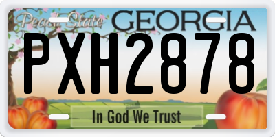 GA license plate PXH2878