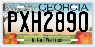 GA license plate PXH2890